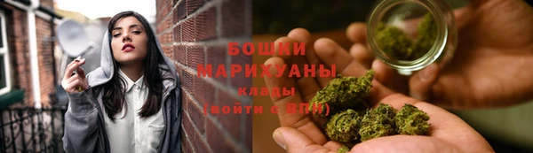 PSILOCYBIN Липки