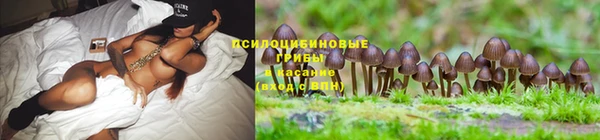 амф Лихославль