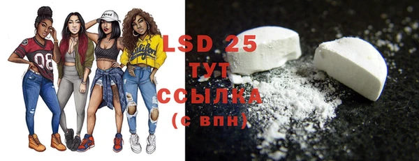PSILOCYBIN Липки
