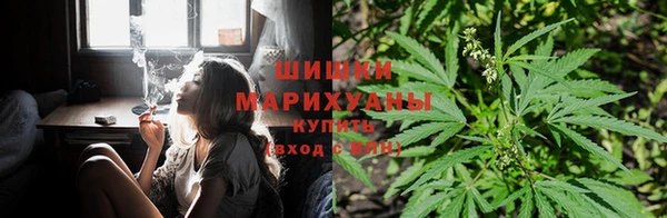 мяу мяу мука Волоколамск