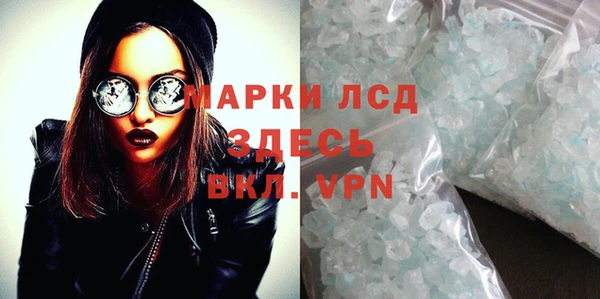 PSILOCYBIN Липки