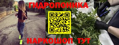 мяу мяу мука Балахна