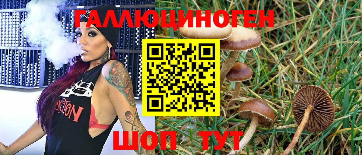 Псилоцибиновые грибы Psilocybe  Вход с VPN  Воткинск 