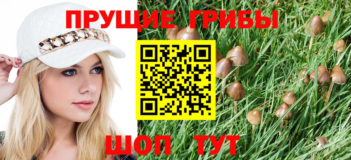 Псилоцибиновые грибы Psilocybine cubensis Воткинск